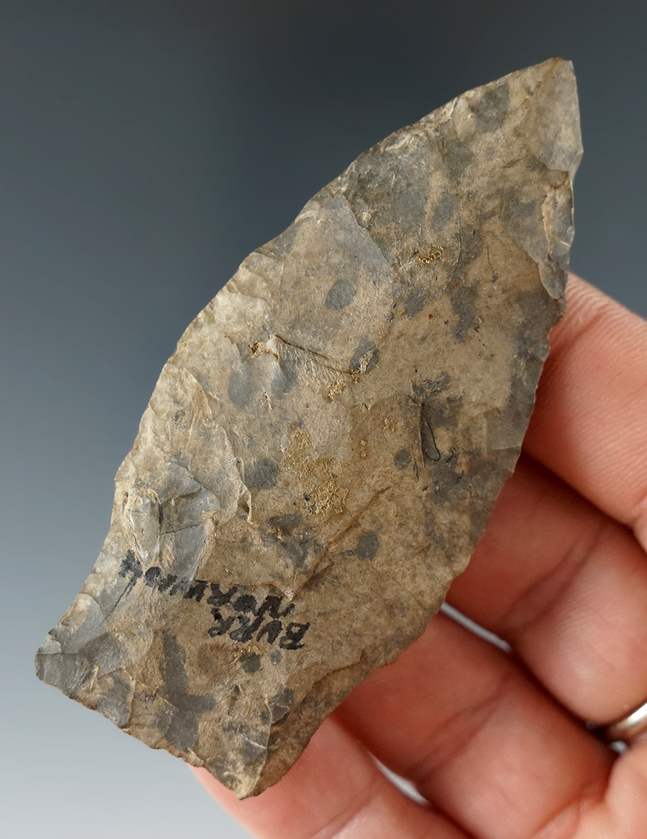 3 1/16" Fox Creek made from Onondaga Flint found near Norwich, New York. "Iron Horse" collection.