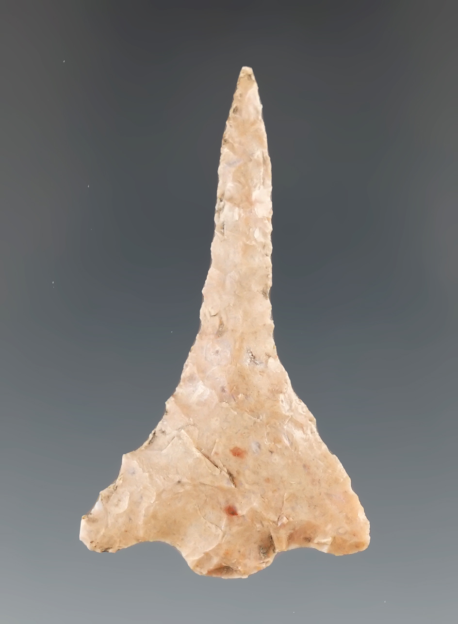 1 3/4" Winged Drill found in Bell Co., Texas.