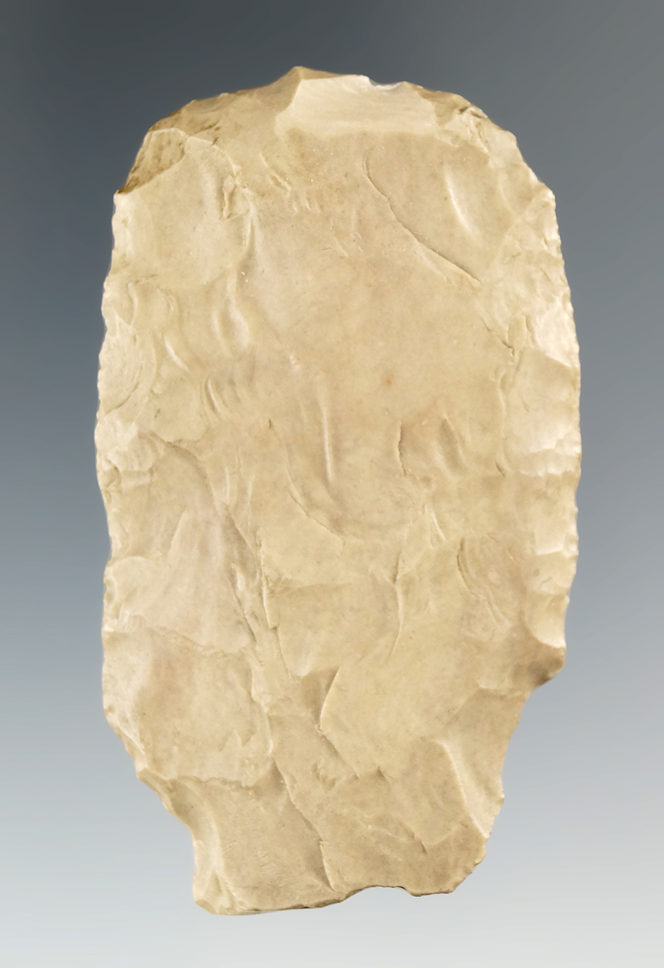 2 1/2" Mousterian Egyptian point/blunt 75,000-20,000 BC