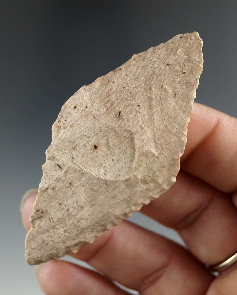 Excellent beveled edges on this 2 11/16" Harahey Knife made from Kay County chert found in Kansas.
