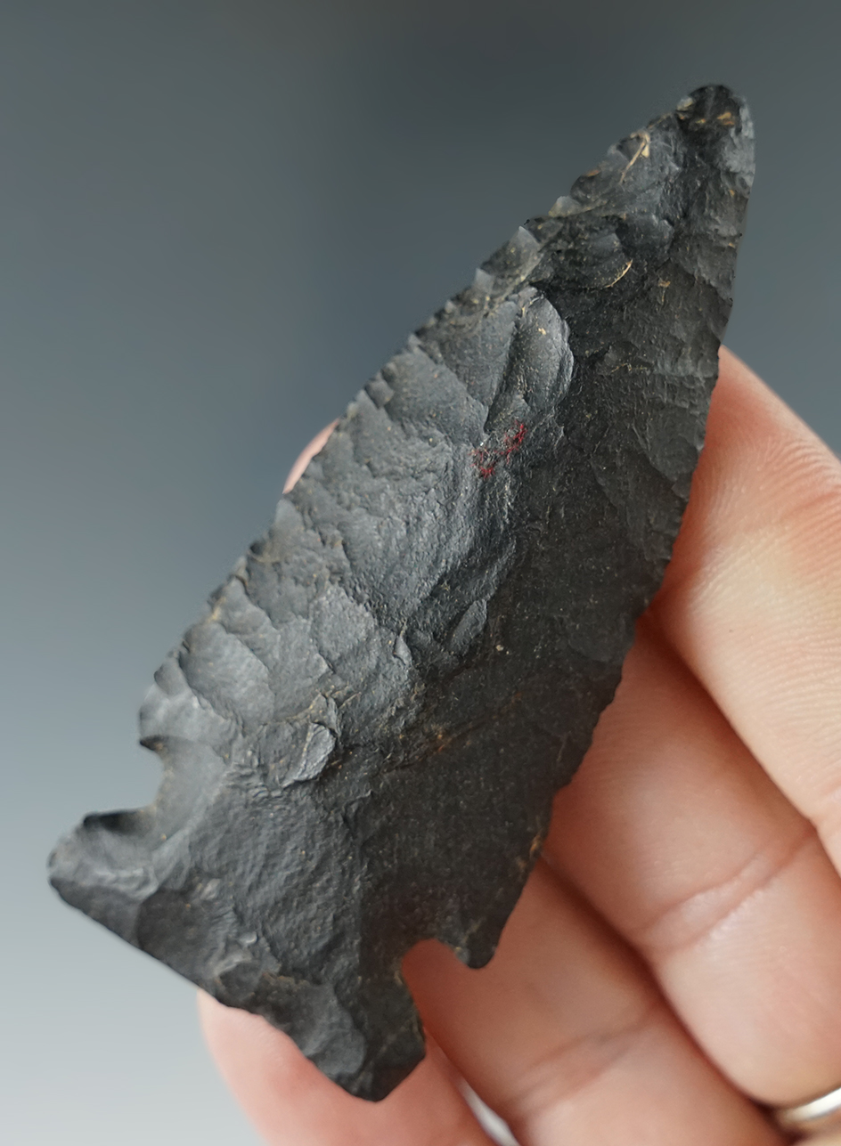 2 13/16" Archaic Sidenotch found in New York. From the Mickey Taylor "Iron Horse" collection.