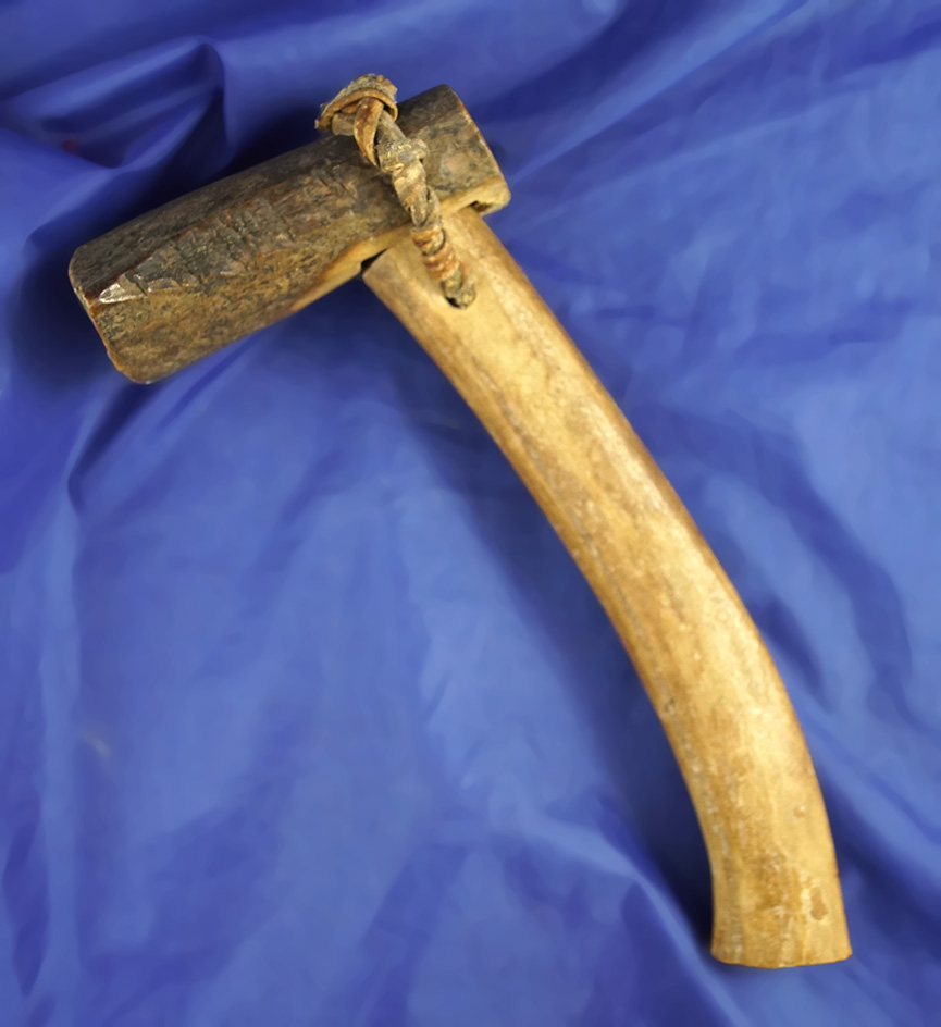 Unique two-piece bone Inuit scraper tool with original leather hafting. The stone scraper is missing