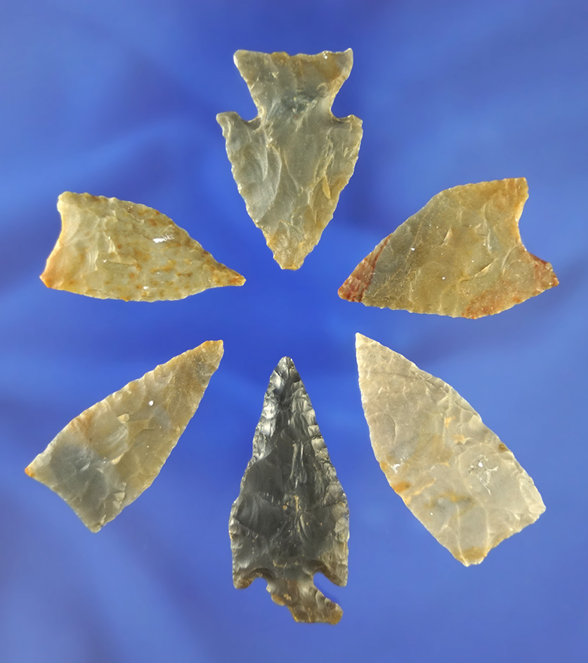 Set of six Jack's Reef points all found on one site near Decatur Alabama.