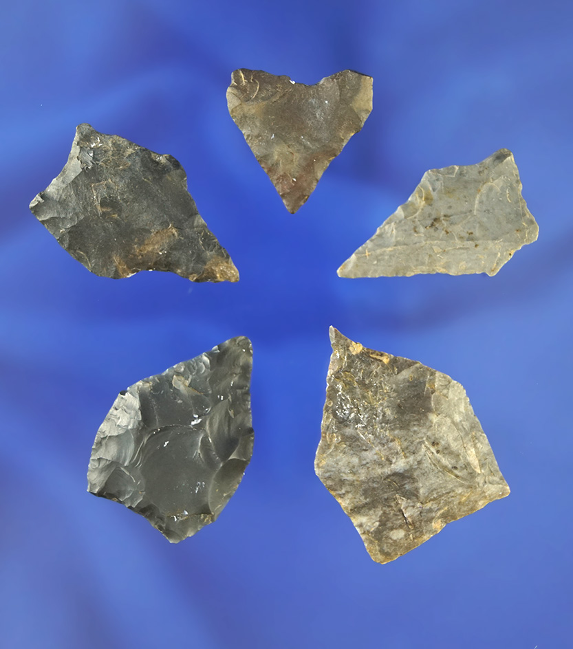 Set of five Jack's Reef Pentagonal points found in North Carolina, New York, Pennsylvania and KY.