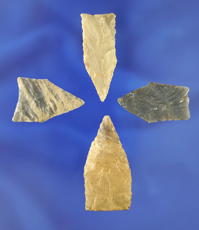 Set of four Jack's Reef Pentagonal points found in Tennessee and Kentucky. Largest is 1 1/2".