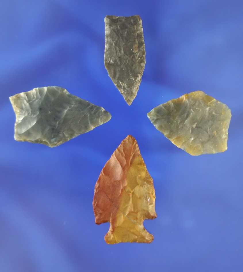 Set of four Jack's Reef points found in Tennessee and Kentucky. Largest is 1 3/8".