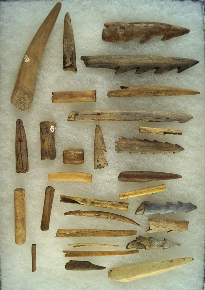 Large group of assorted bone tools and bone/antler harpoons found in the area of Jacks Reef, NY.