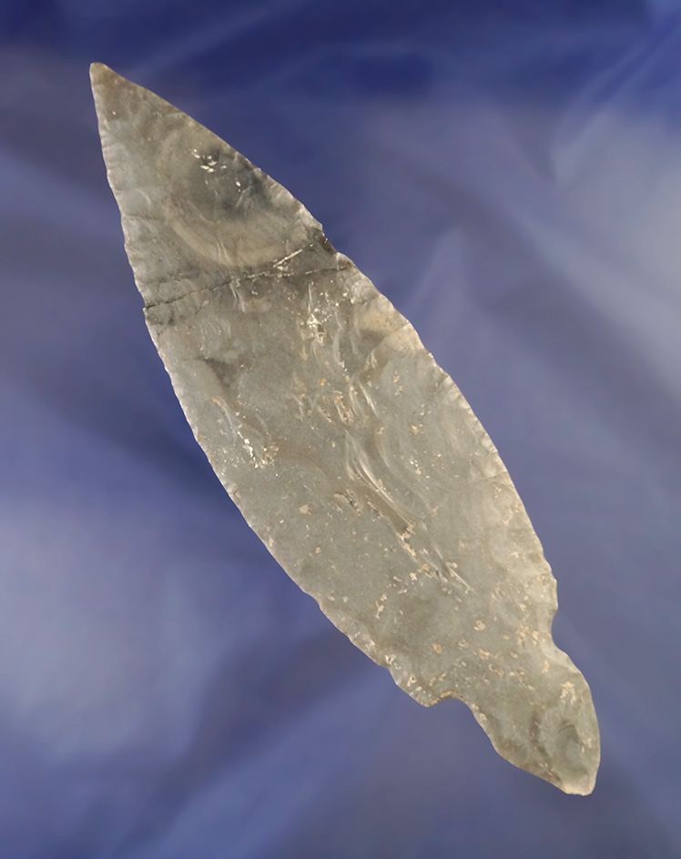 Huge! 8 1/2" Hornstone Turkeytail that was ceremonially broken  found in Indiana.