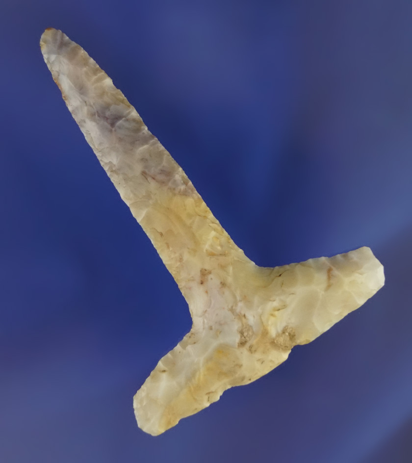 2 3/4" rare and large FR T-Drill with a very large base and nice mineral deposits. Lucas Co.,  Ohio.