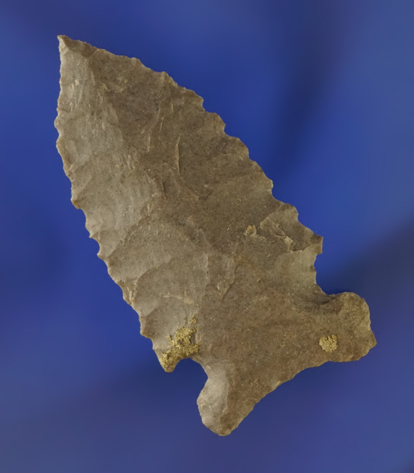 2 5/16" Archaic Sidenotch - very nice serrations and a needle tip found near Clarksville, Tennessee.