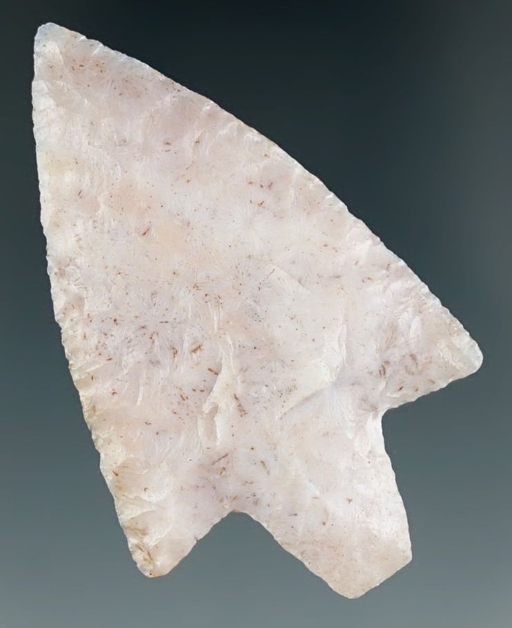 Beautifully crafted 2 1/16" Newnan Point found in Florida.