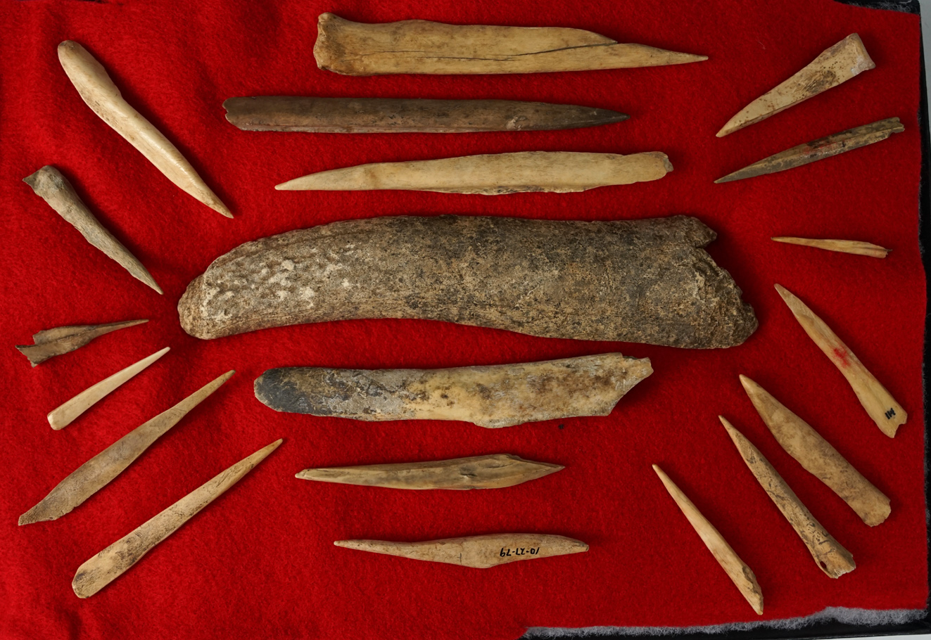 Set of 20 assorted bone and antler Awl's and tools found in Kentucky.