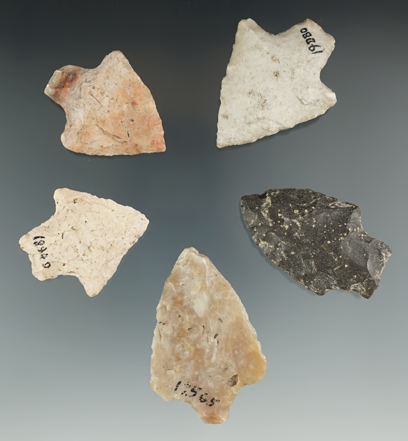 Set of five nice Florida Points, largest is 2 1/16".