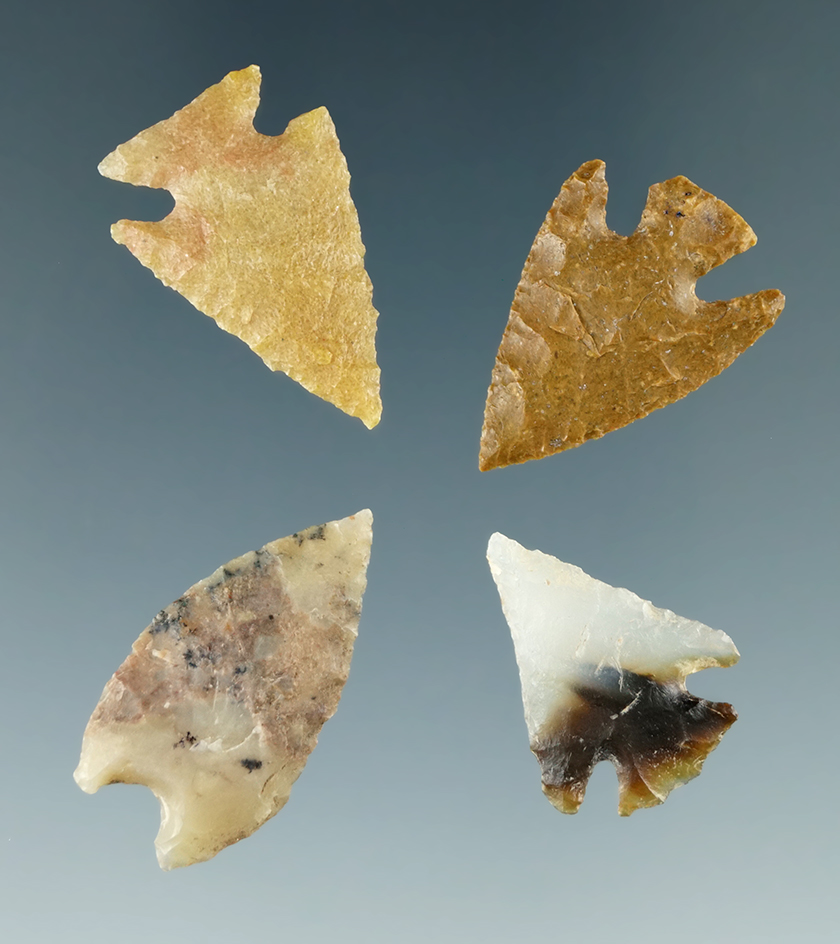 Set of four very nice arrowheads found in Colorado, largest is 1 1/16".