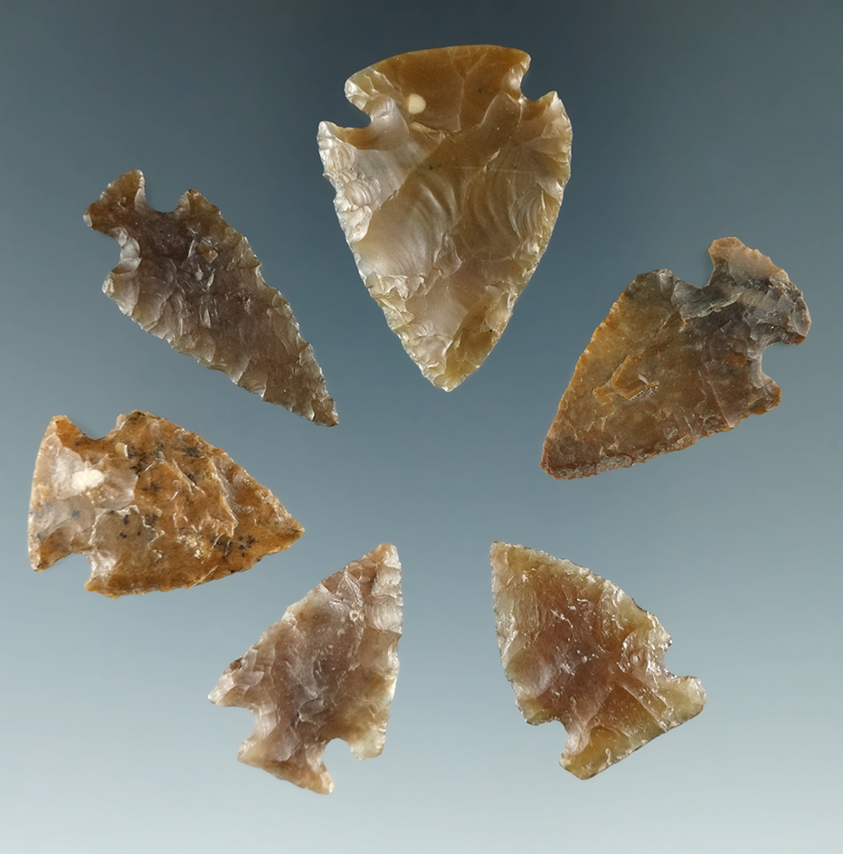 Group of six arrowheads found in Colorado, largest is 1 1/4".