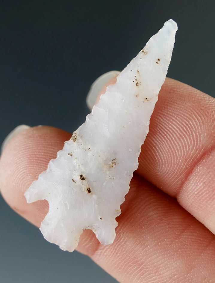 1 1/2" Dolores Point found in San Juan Co., New Mexico.