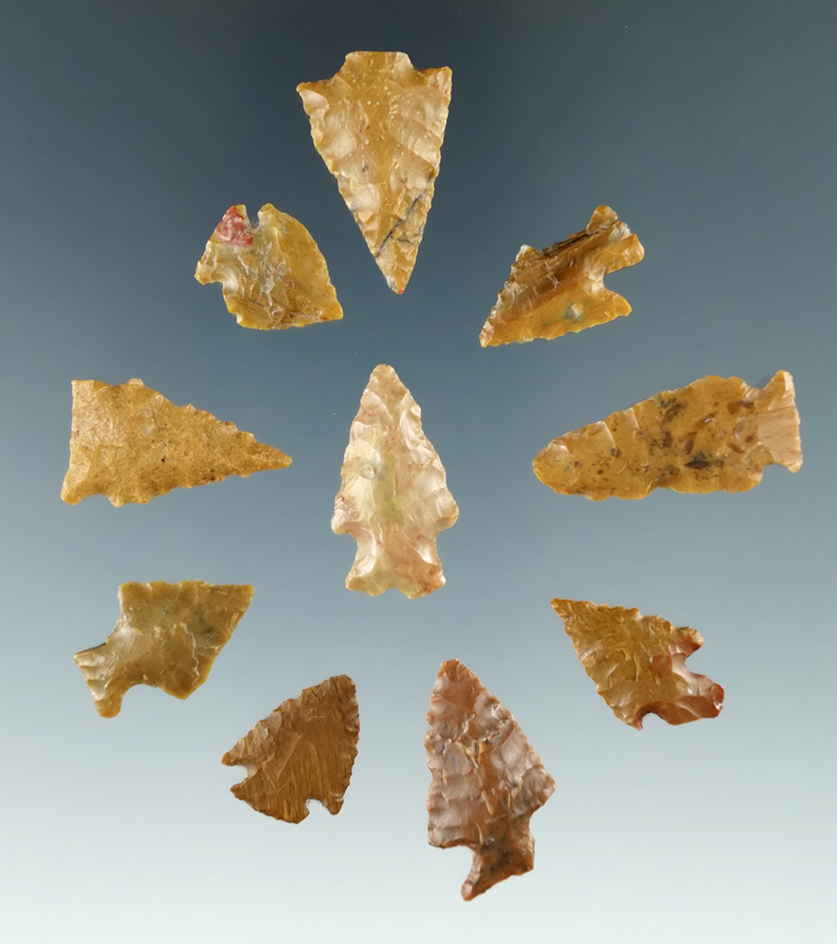 Group of 10 assorted arrowheads found in Colorado, largest is 1 3/16".