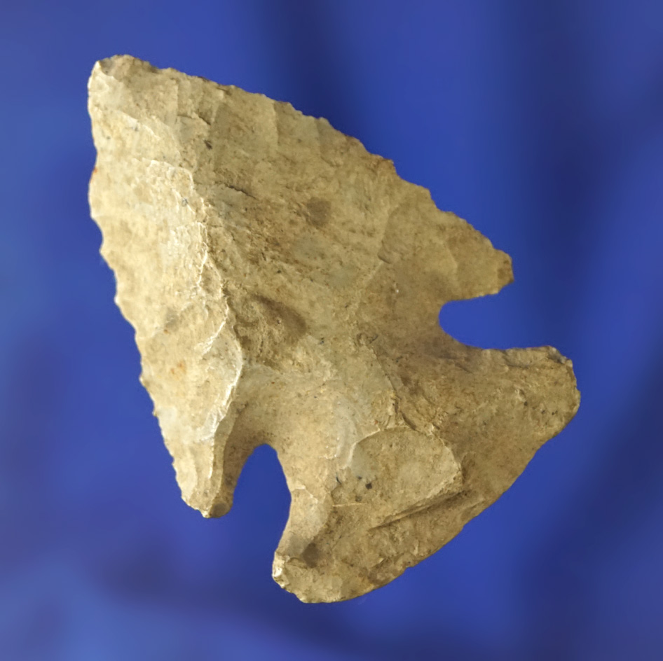 1 7/8" archaic Thebes Bevel that is well patinated found in Michigan. Ex. Phil Waigel collection.