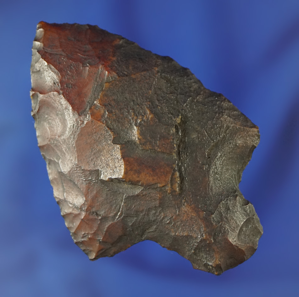 Nice heavy River patina on this 2 5/8" Elora made from heat-treated Agatized coral - Florida.