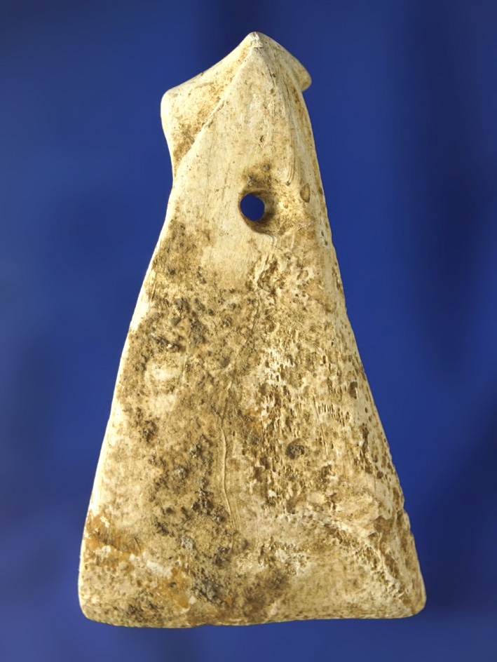 2 7/16" drilled shell Pendant with heavy mineral deposits on surface found in Kentucky.