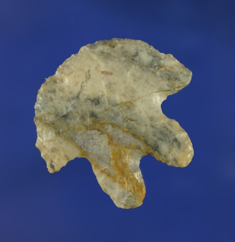 Unique 1 1/8" Bifurcate Base Blunts  found in Ohio.