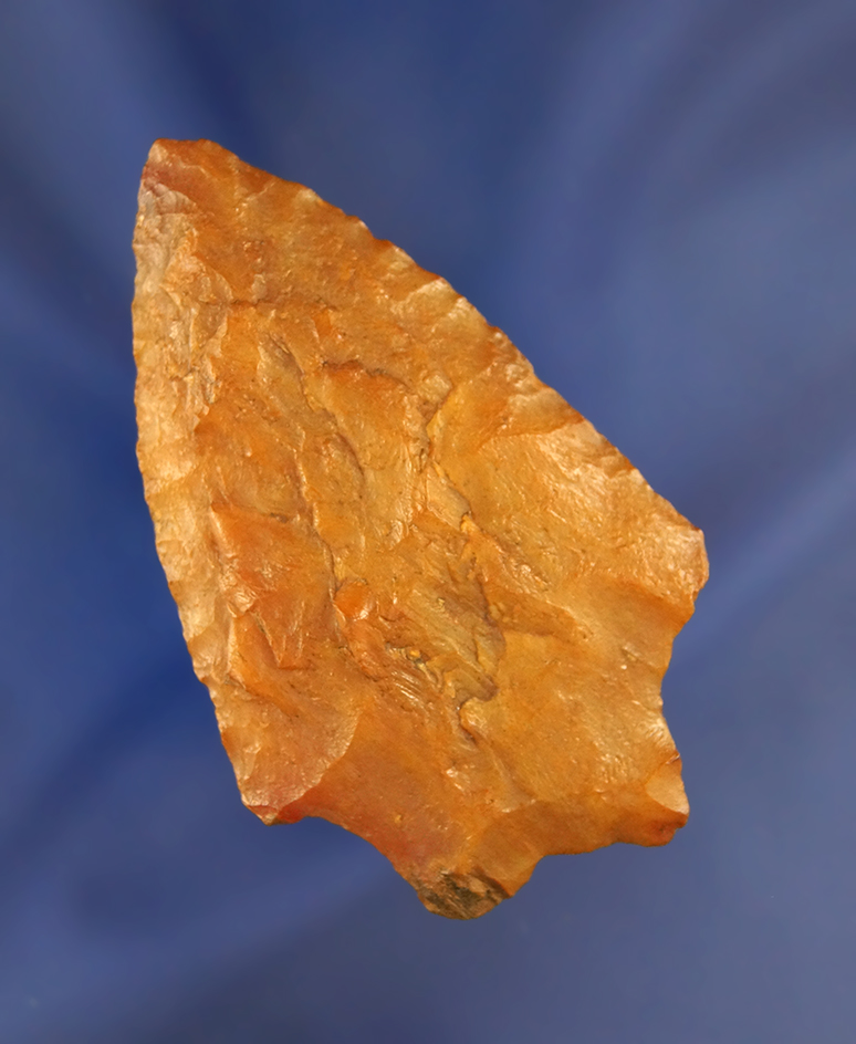 2 7/8" beautiful Florida Arrowhead  made from heat-treated Agatized coral.