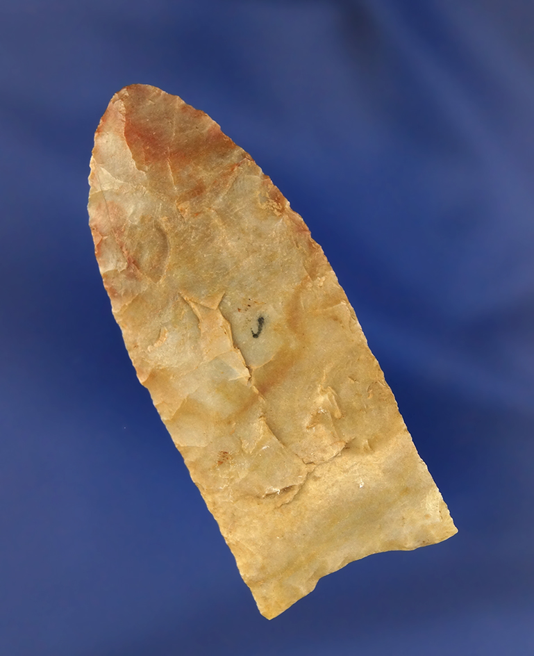 2 3/8" Paleo Clovis found in Southeast Illinois. Ex. Bingman Collection. Pictured!