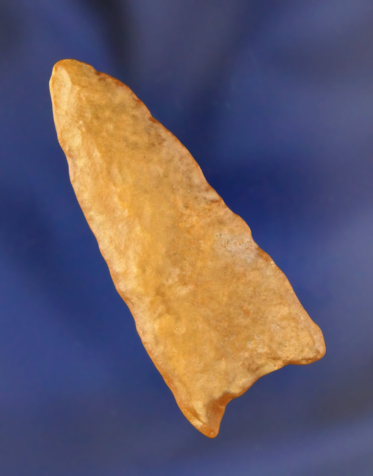 2 1/8" Tulare Lake found in Kings Co., California. Ex. Karner, Jackson, Erspamer.  COA.