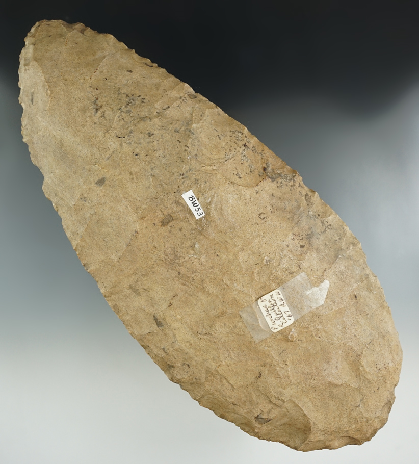 Huge! 11 3/8" x 4 7/8" Mill Creek Chert Spade found in St. Louis Co., Missouri, with use polish.