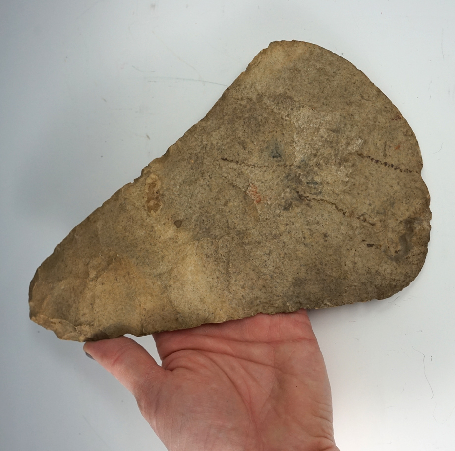Classic example! Very large 8 13/16" Mill Creek chert Hoef ound in Hudson, Lenawee Co.,  Mich.