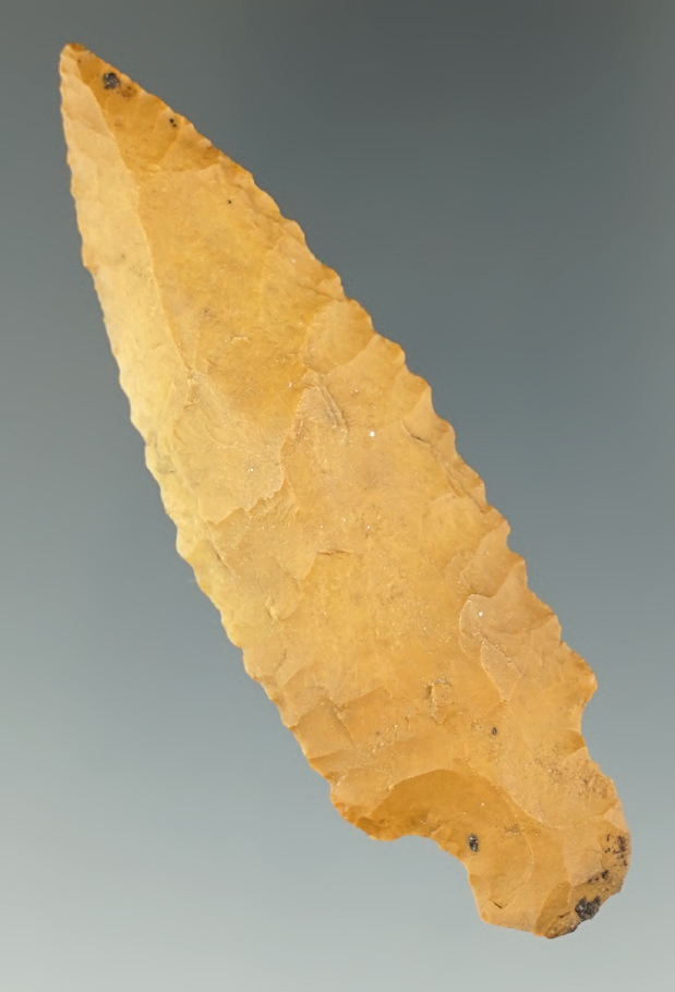 2 15/16" Stemmed Point with nice edge flaking and serrations. Found in the 1970's  in Florida.