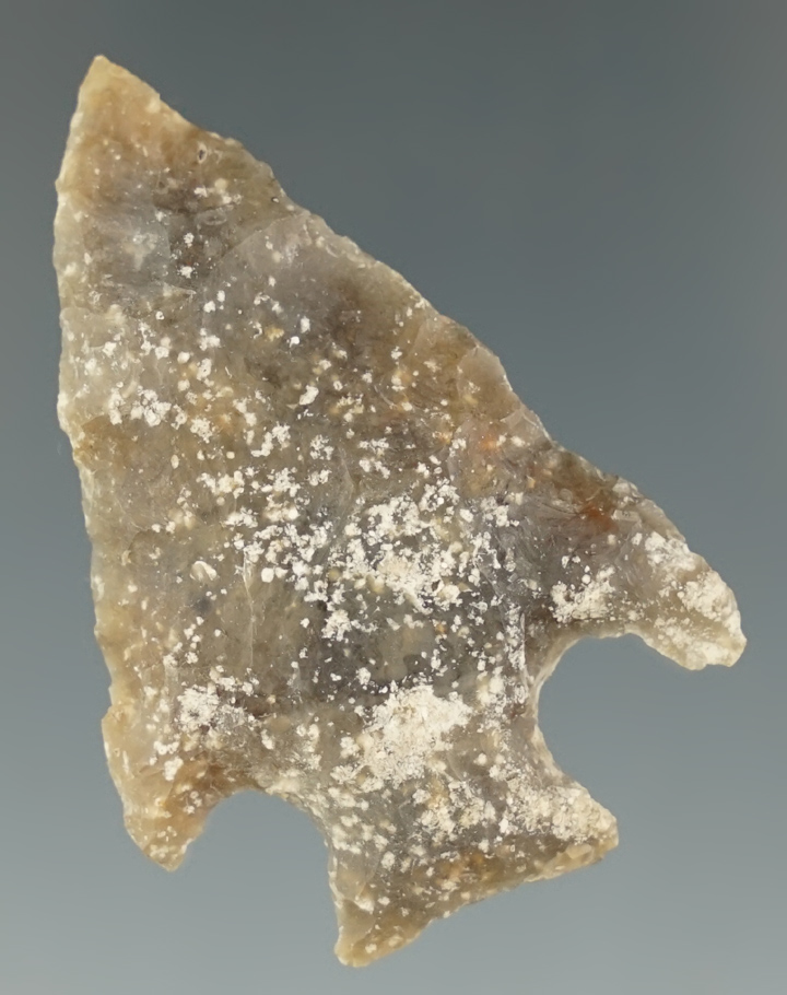 1 15/16" Knife made from fossilized coral. Found in the 1970's by Eric Sowa in Florida.