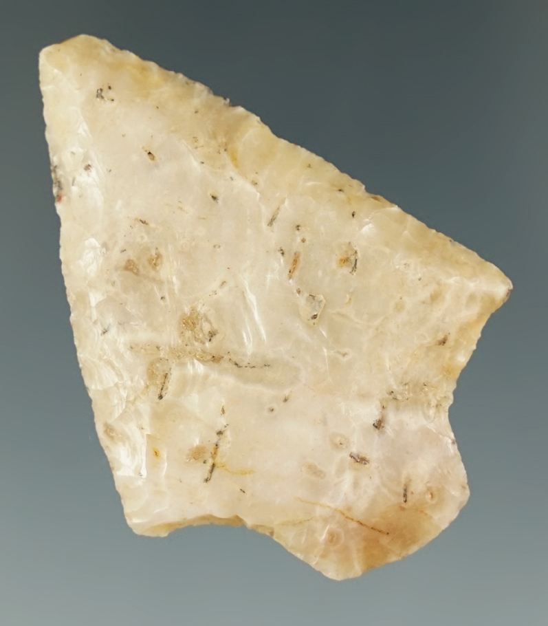 2" Beveled Knife made from high quality heat-treated material. Found in Florida. Ex. Pat Layshock