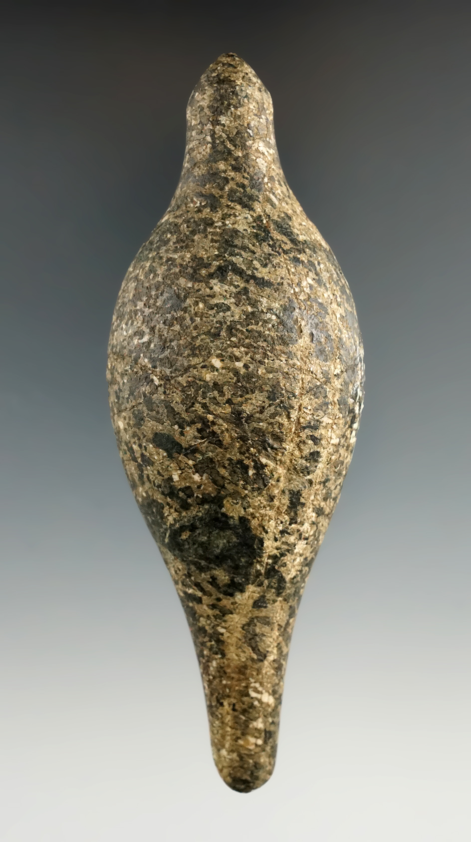 4 11/16" Charmstone found east of Peachton, Butte Co., California on the feather River.