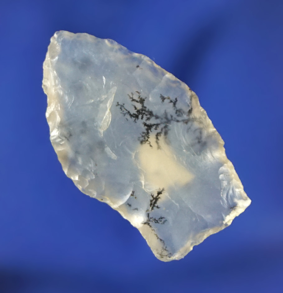 1 3/16" Paleo Spedis - incredibly translucent dendritic agate found in North Dakota. Rogers COA.