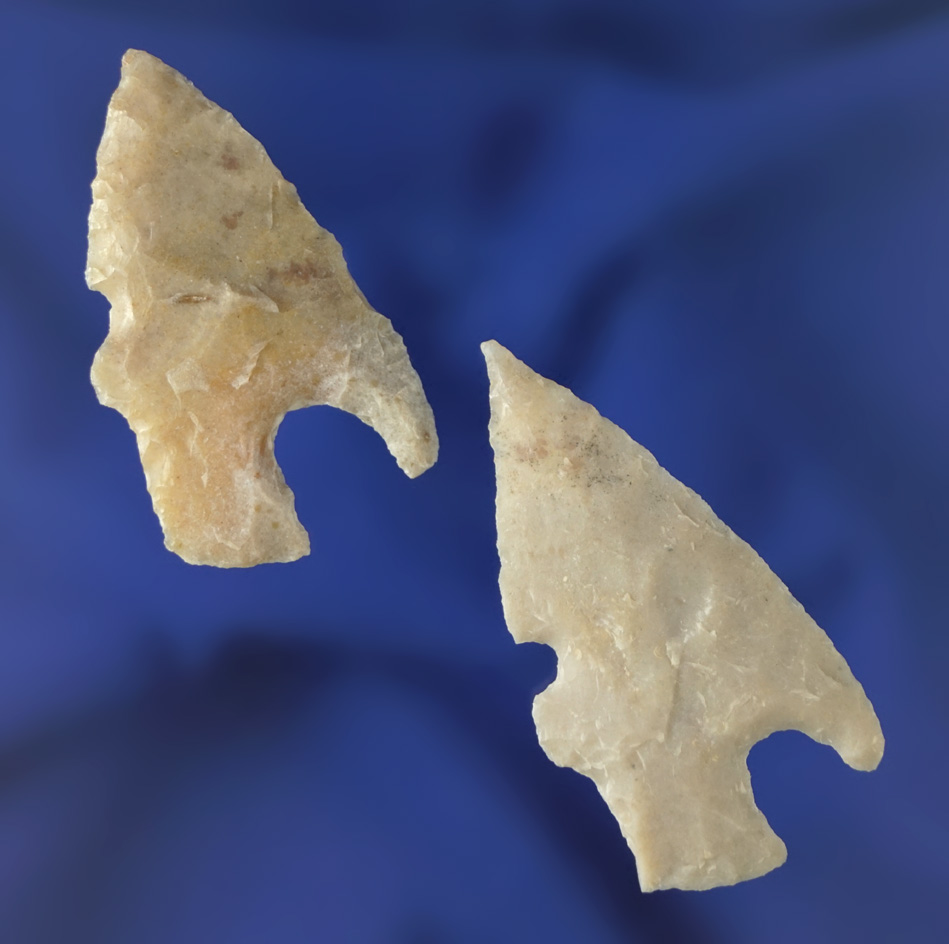 Pair of Charcos points, largest is 1 5/8" found in the southern New Mexico area.