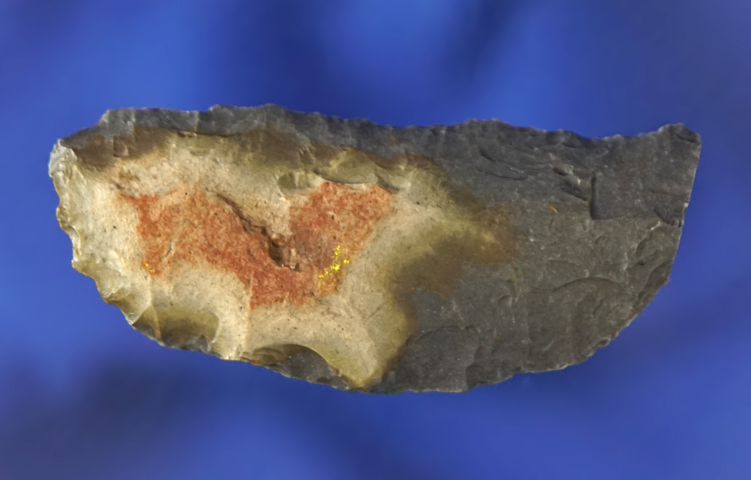 1 11/16" Paleo Crescent found by R. D. Mudge in Nevada.