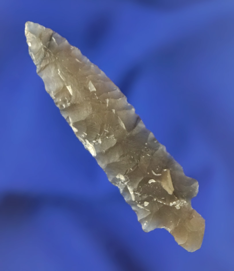 Sale highlight! Rare! 2 3/8" Bear Point made from high-quality highly translucent chalcedony - Alask