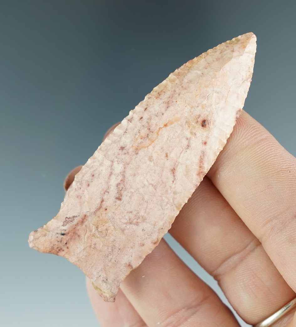 Beautiful material on this 2 3/4" Greenbrier Point found in Georgia.