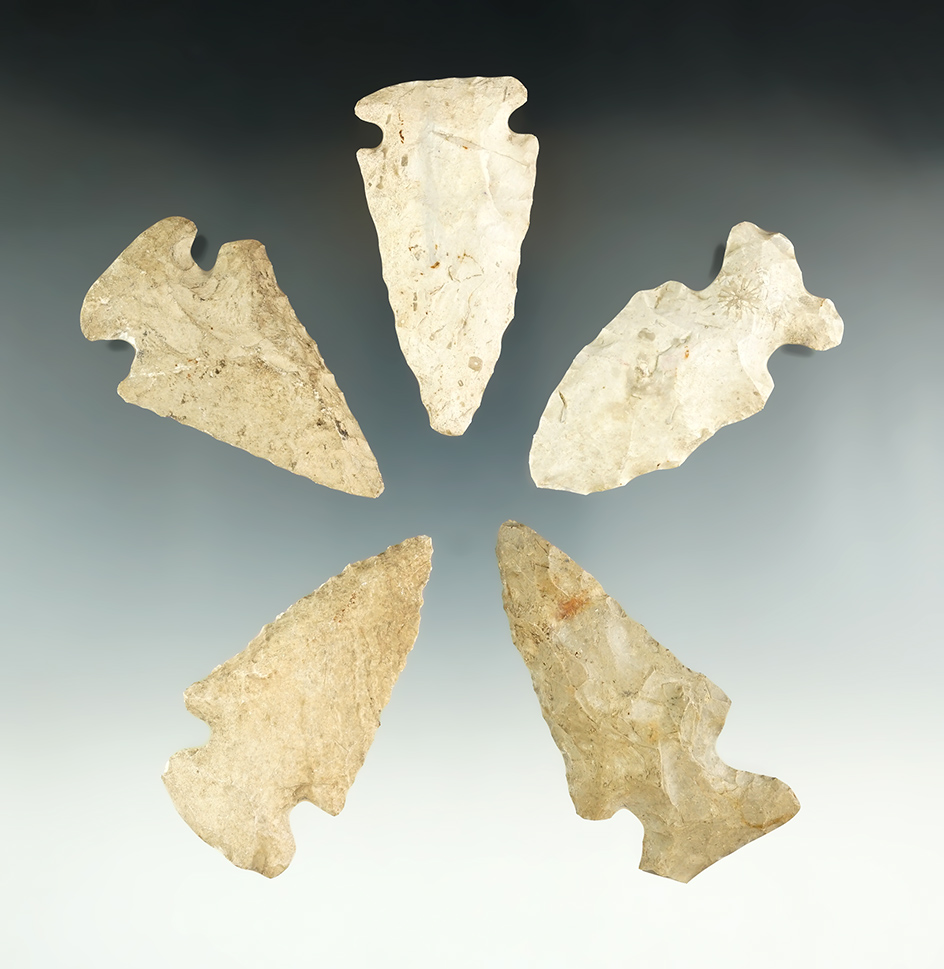 Set of 5 assorted Thebes Knives, largest is 2 13/16". Found in Lenawee Co., Michigan.