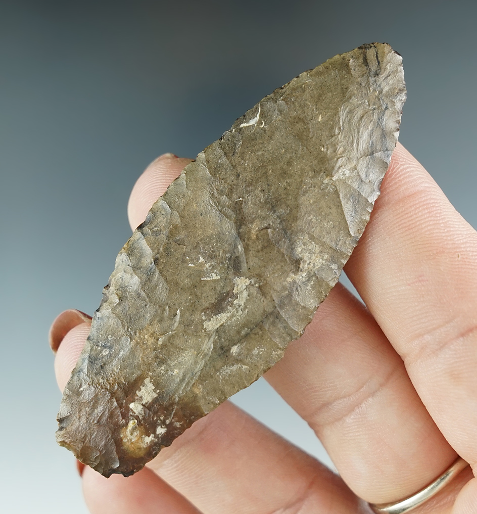 Thin and well flaked 2 3/4" Paleo Hell Gap found in Wyoming. Pictured in "Overstreet" #9 - COA.