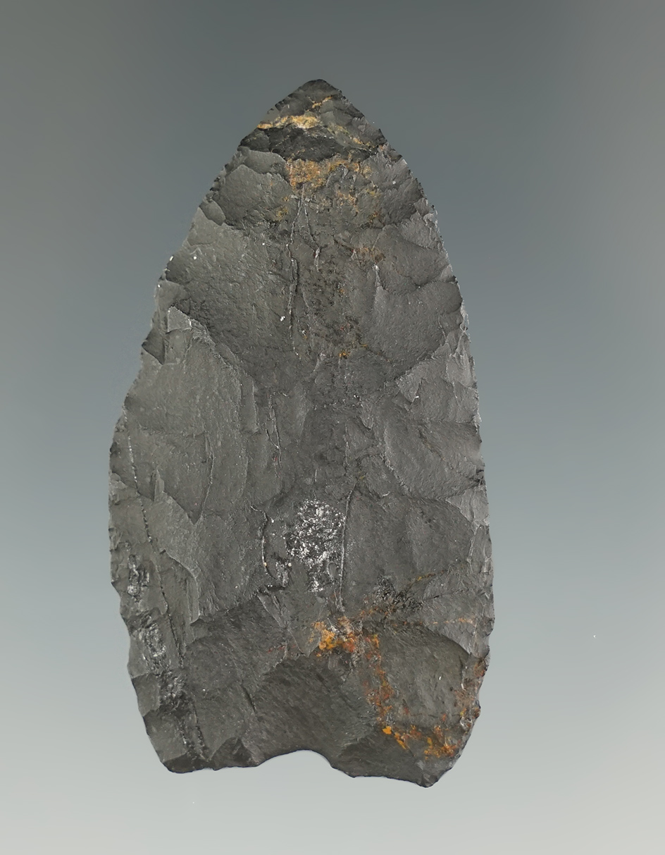 Rare style! 2" Paleo Owl Cave found near the Idaho-Wyoming boarder. Pictured in "Overstreet"