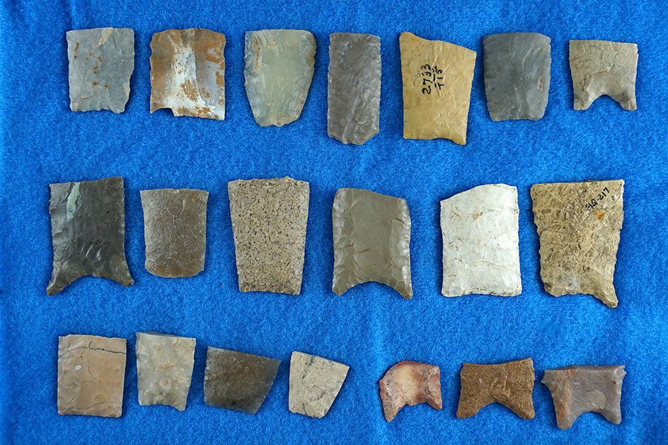 Set of 20 assorted Paleo Bases found in or around Kansas.