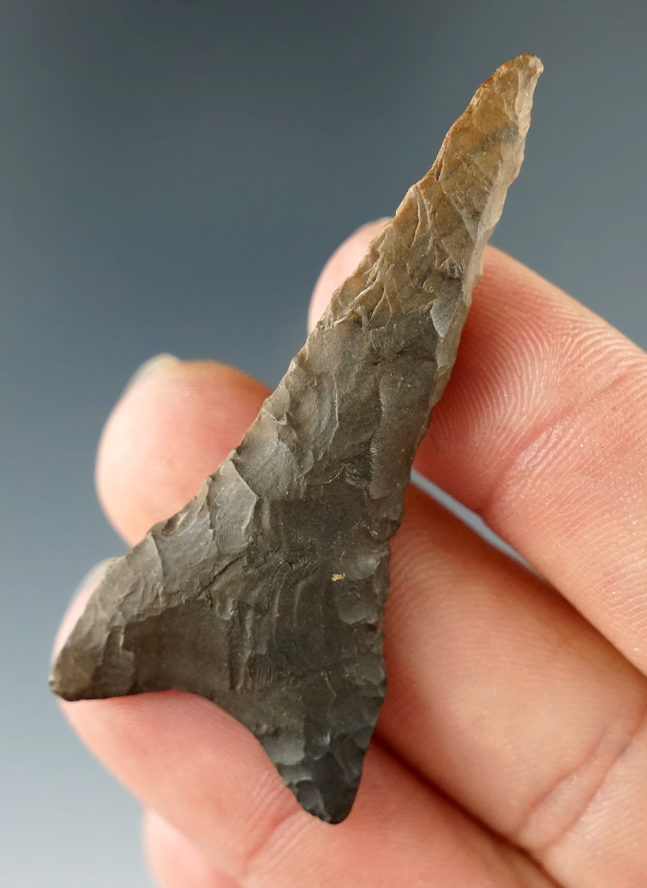 2 13/16" Paleo Drill found in Collin Co., Texas. Ex. Juanita Smith. Comes with a Rogers COA.