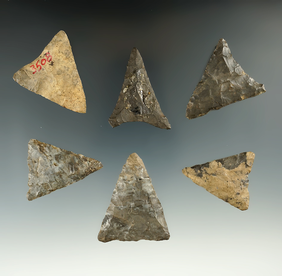 Excellent set of six Triangle points found in New York, largest is 1 13/16".