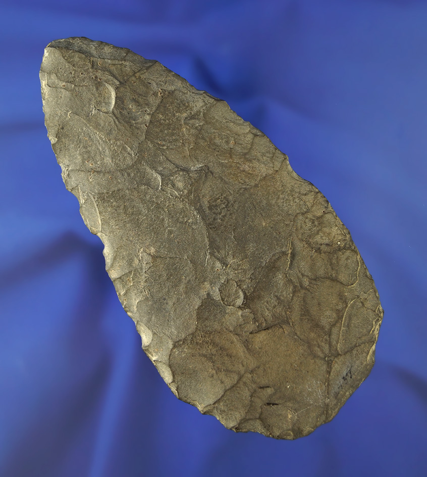 Large 5 3/16" Biface Blade that is nicely patinated and well flaked. Found in New Jersey.