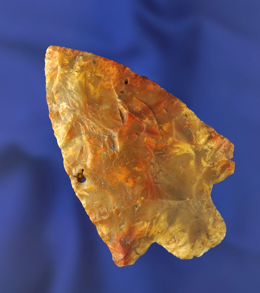 3" Newnan found in Hernando Co.,  Florida- translucent heat-treated Agatized coral. Pictured.