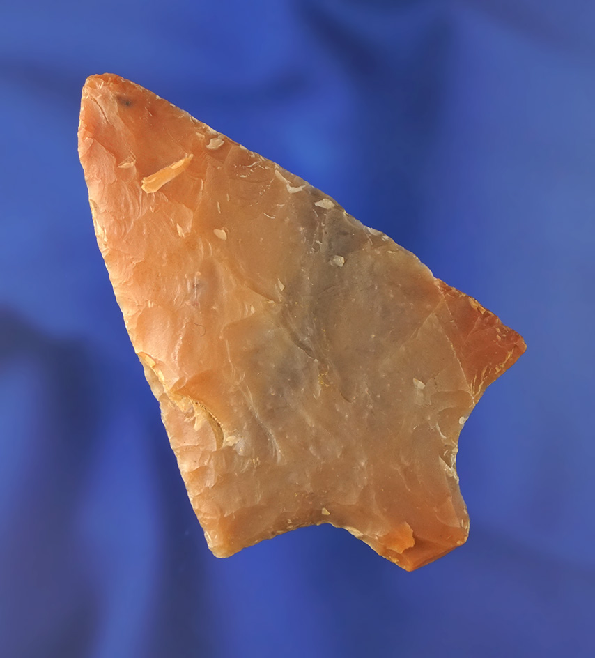 2 7/8" Marion made from beautifully translucent material. Found in Pasco/Pinellas Co.,  Florida.