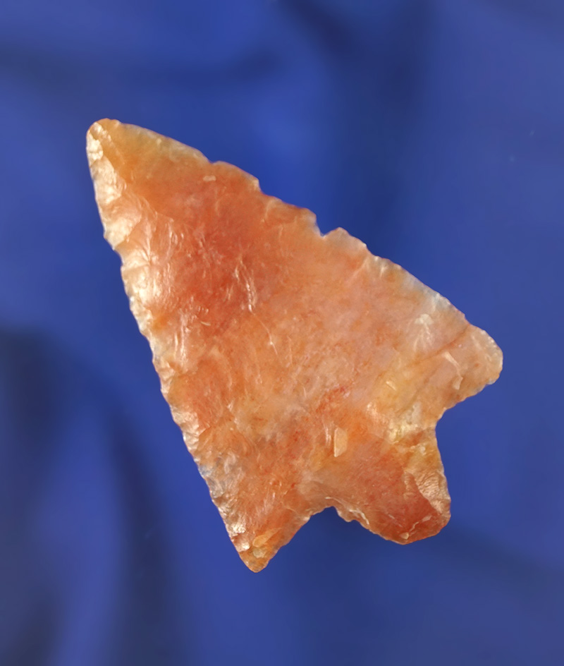 2 3/8" Newnan made from beautifully translucent heat-treated Agatized coral.  Florida. Pictured