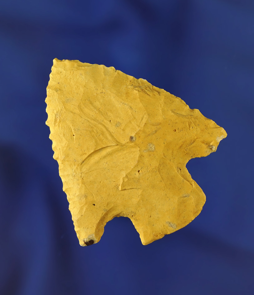 2 1/8" Newnan that is very heavily patinated. Found in Pasco/Pinellas Co.,  Florida. Pictured